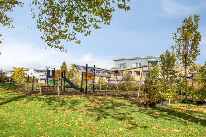 Photo 32 of Hertshoornvaren 24