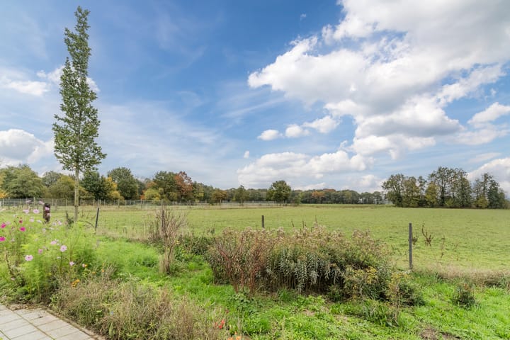 Foto 46 van Hoekakker 10