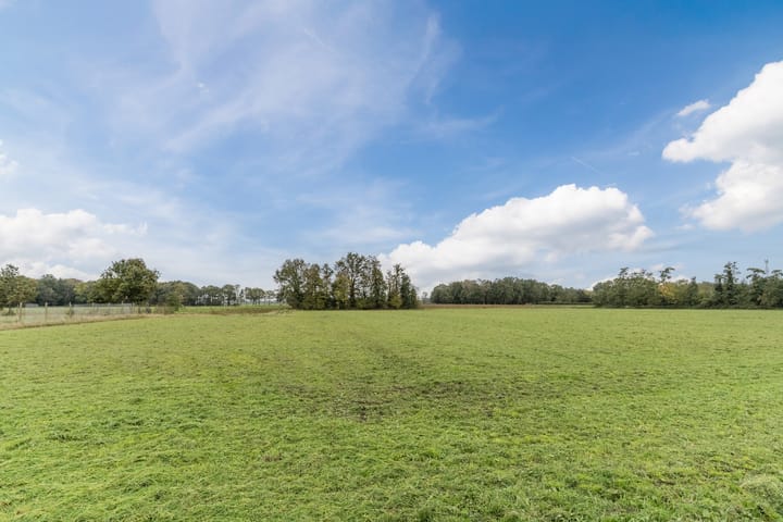 Foto 47 van Hoekakker 10