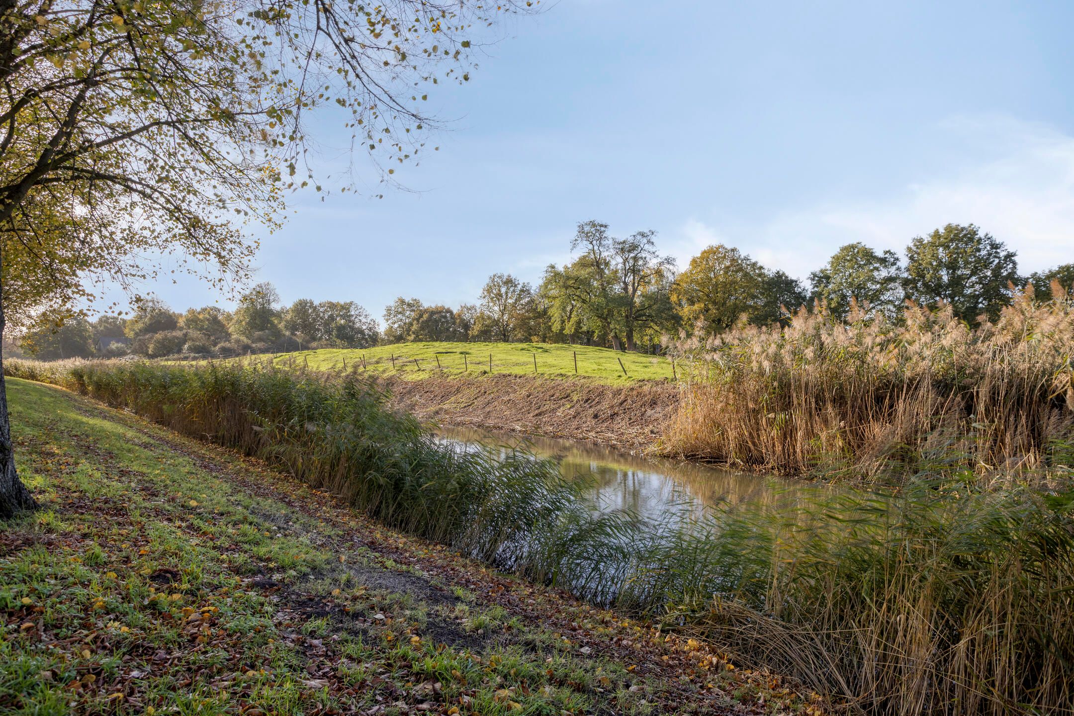 Foto 24 van Lagemorgenlaan 180