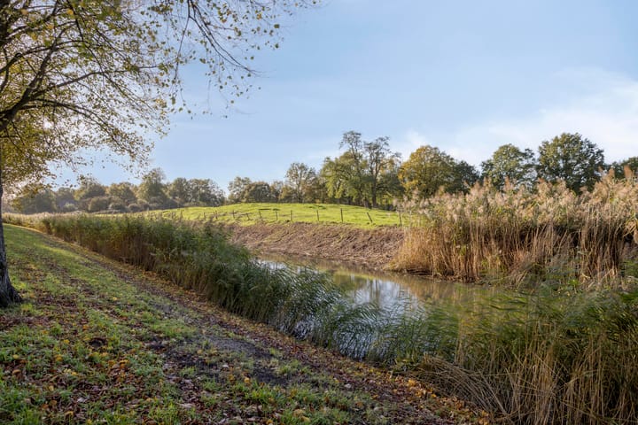 Foto 24 van Lagemorgenlaan 180