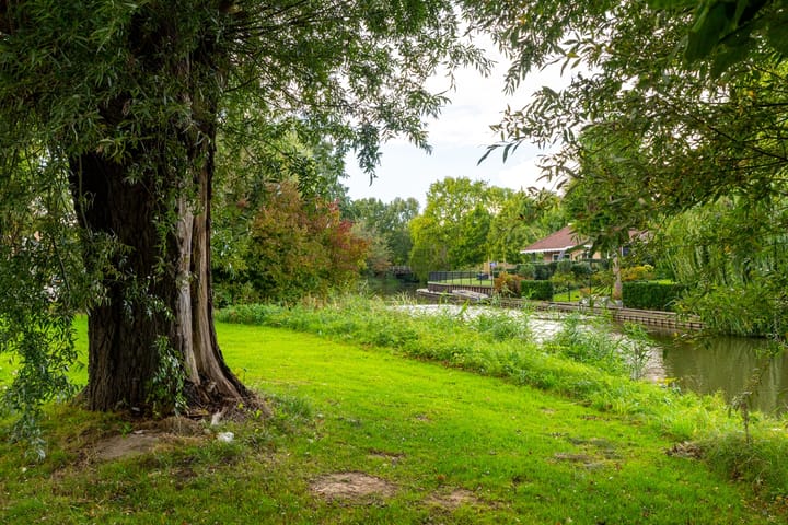 Foto 4 van van Randwijklaan 71