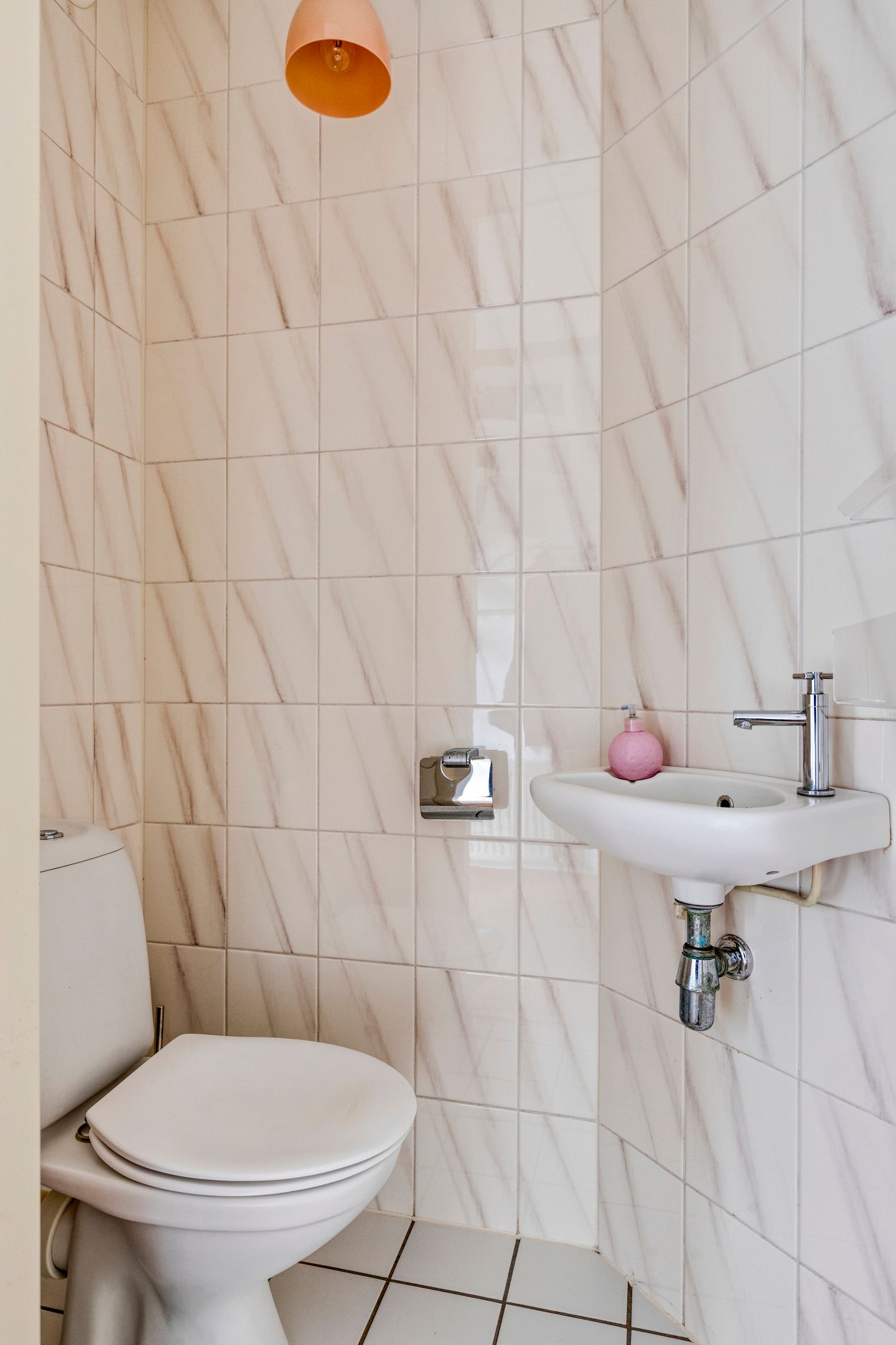 Foto 9 van Rendiermos 22