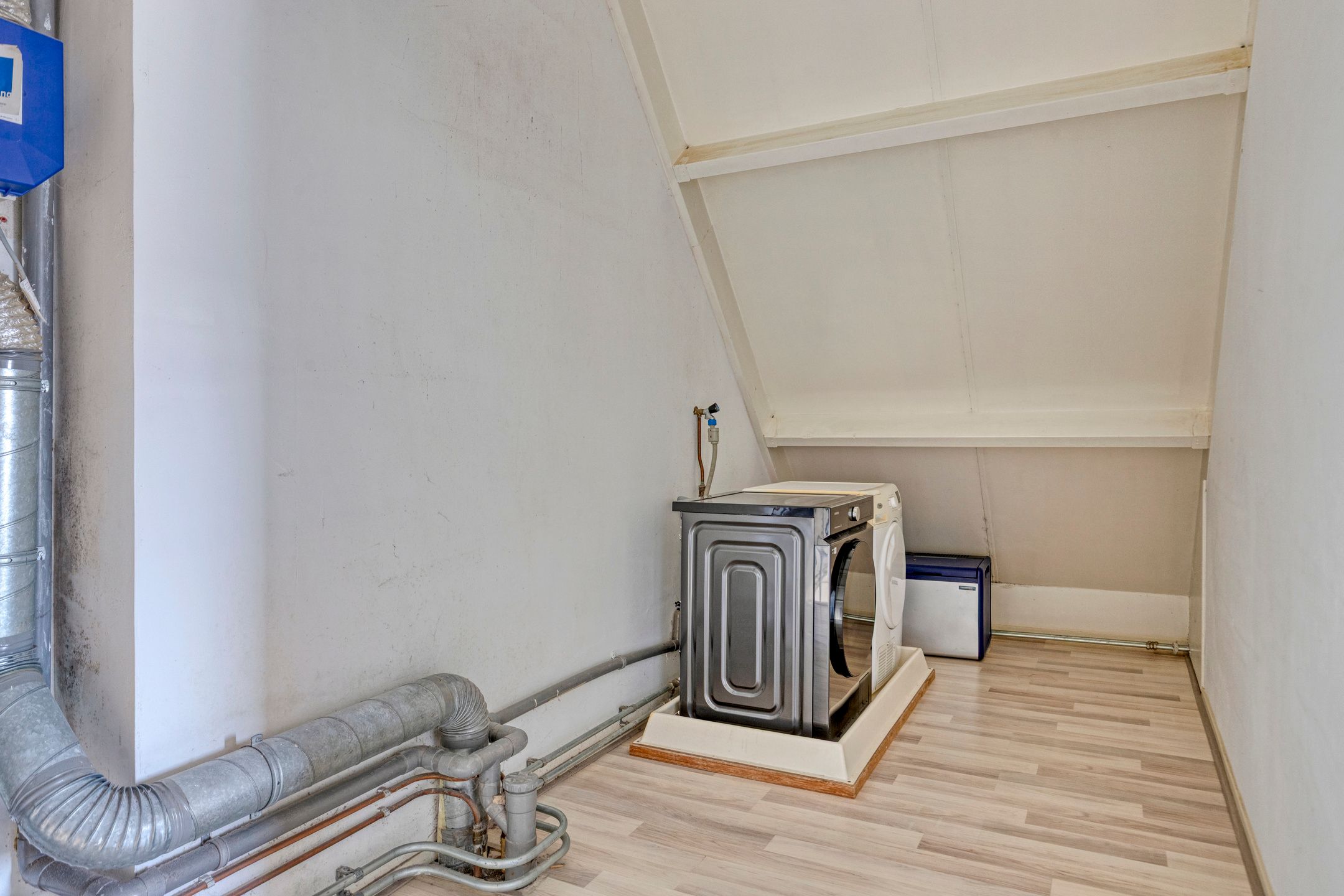 Foto 39 van Rendiermos 22