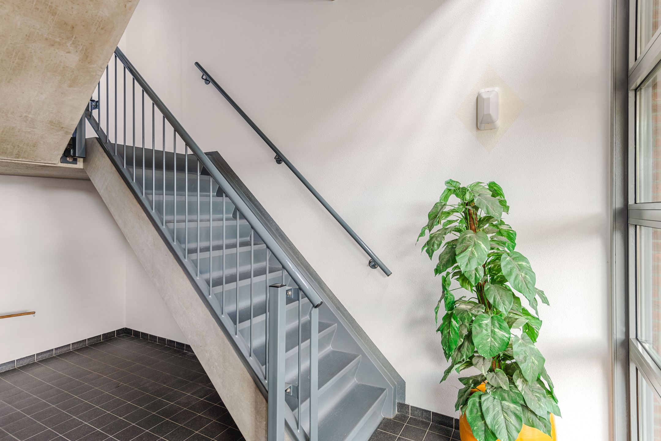 Photo 6 of Hendrik Verheesstraat 18