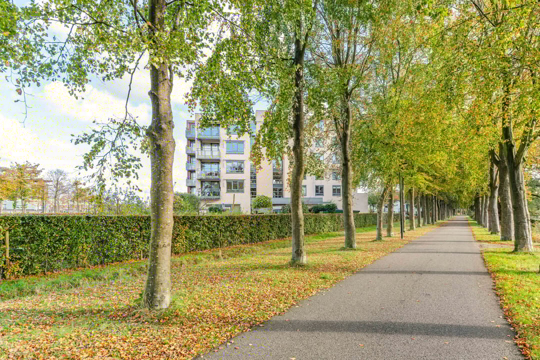 Photo 37 of Hendrik Verheesstraat 18