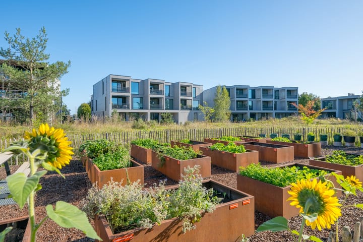 Foto 4 van Zandheuvel 26