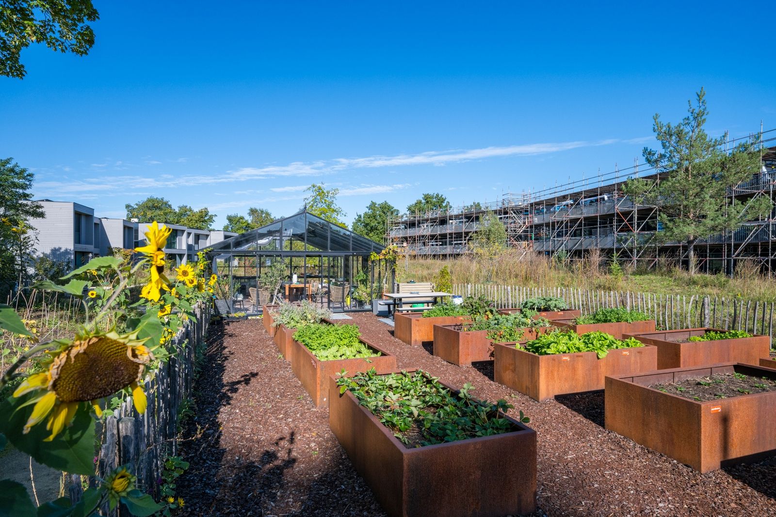 Foto 48 van Zandheuvel 26