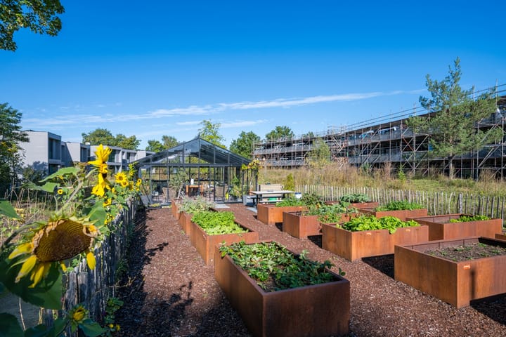 Foto 48 van Zandheuvel 26