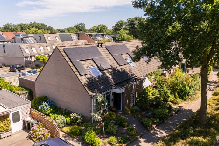 Foto 25 van Bijenkorf 24