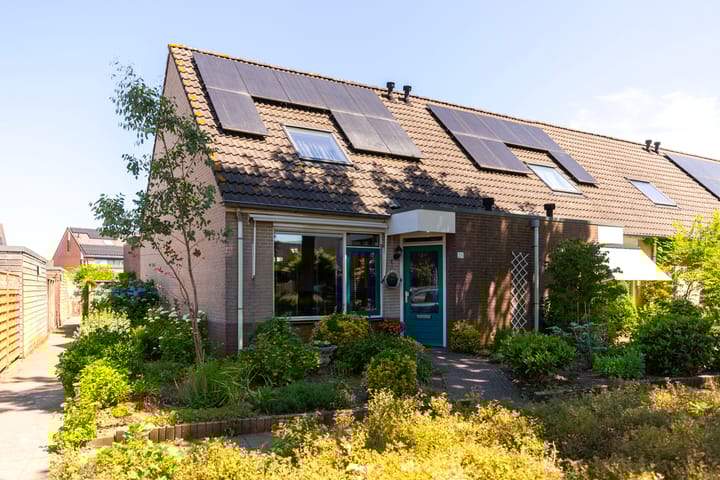 Foto 31 van Bijenkorf 24