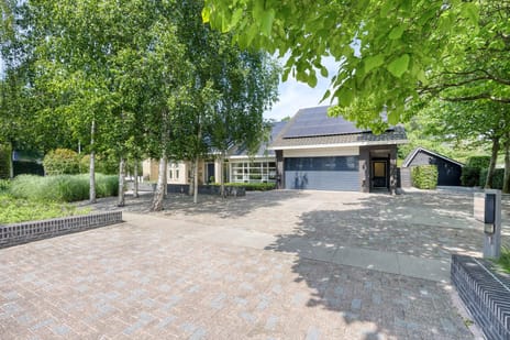 Prof. ter Veenstraat thumbnail