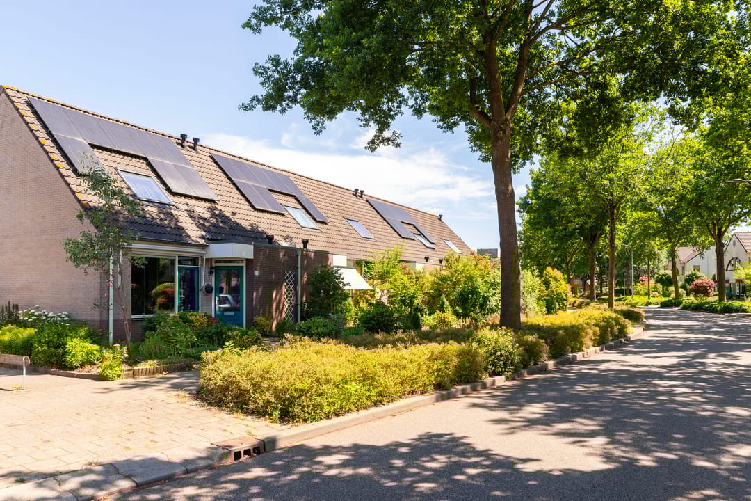 Foto 32 van Bijenkorf 24