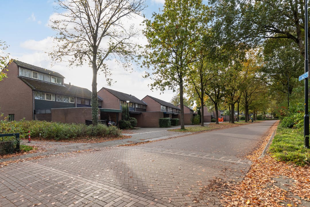 Foto 23 van Schrijnwerkershorst 613