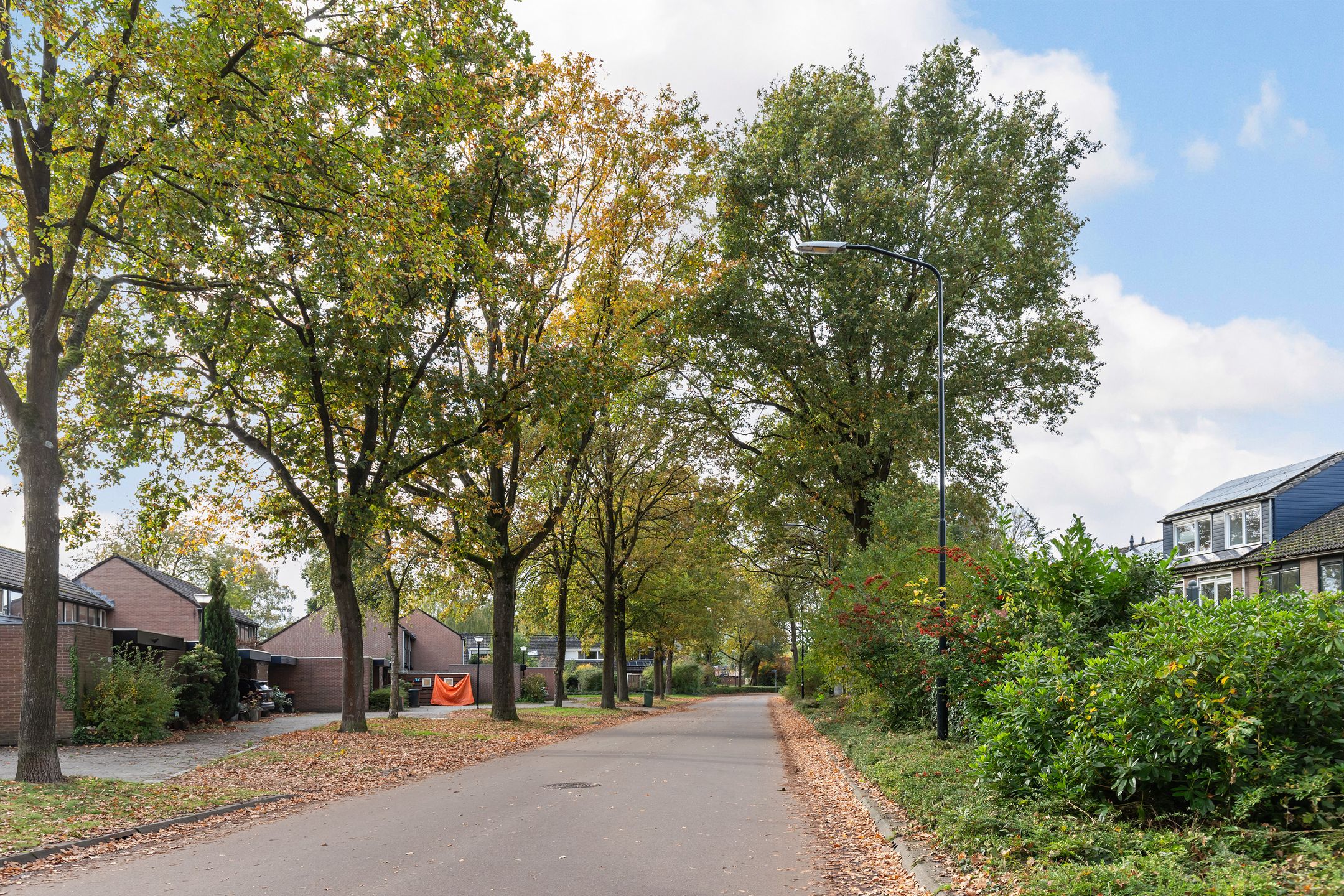 Foto 24 van Schrijnwerkershorst 613