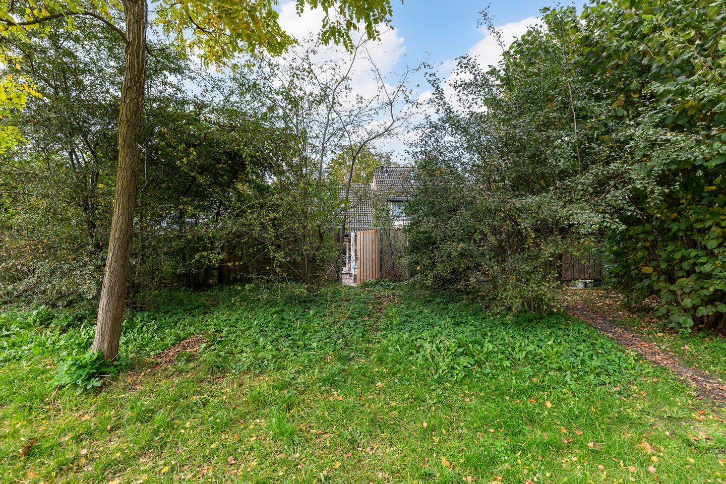 Foto 25 van Schrijnwerkershorst 613