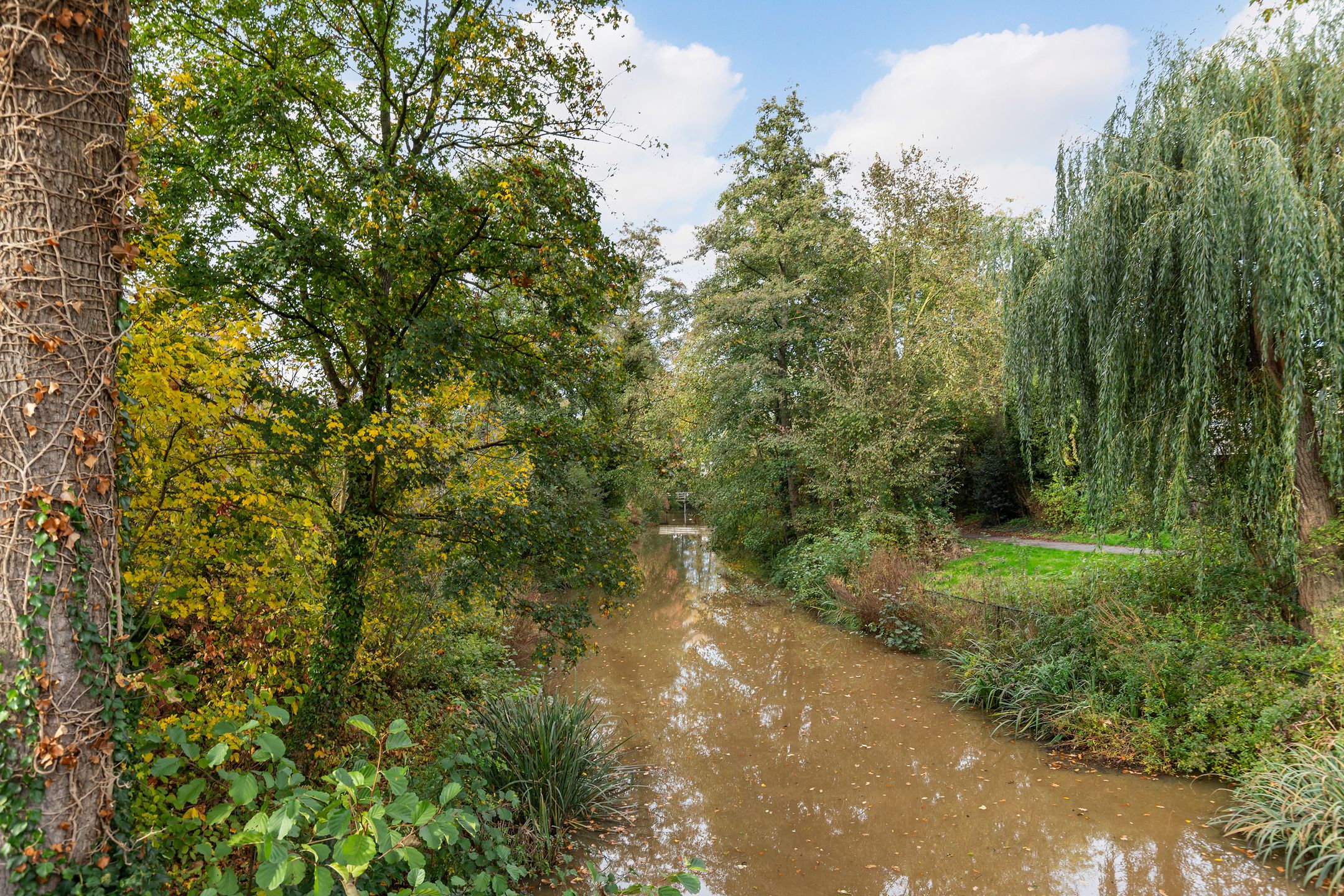 Foto 27 van Schrijnwerkershorst 613