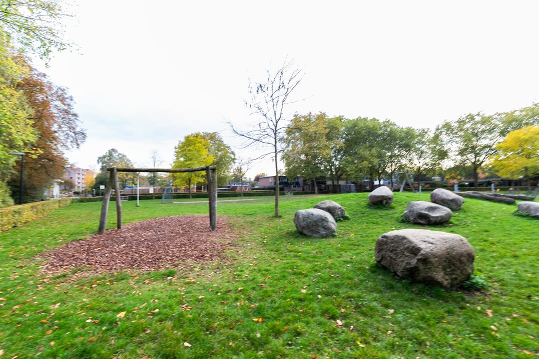 Foto 28 van Schrijnwerkershorst 613