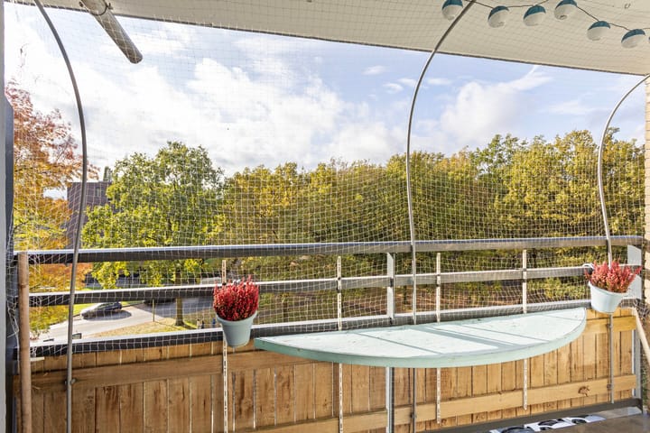 Foto 11 van Vanekerstraat 177