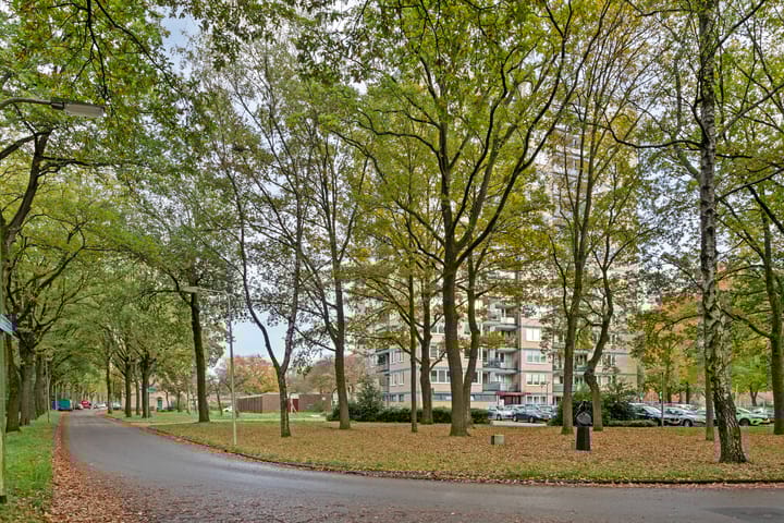 Foto 28 van Vanekerstraat 177