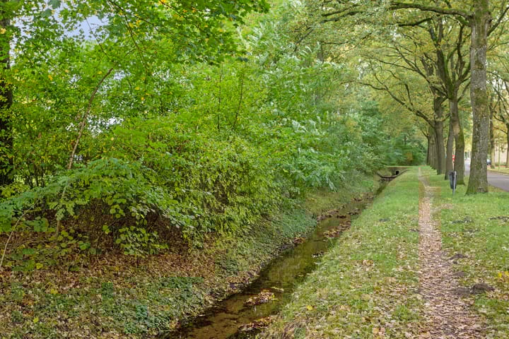 Foto 29 van Vanekerstraat 177