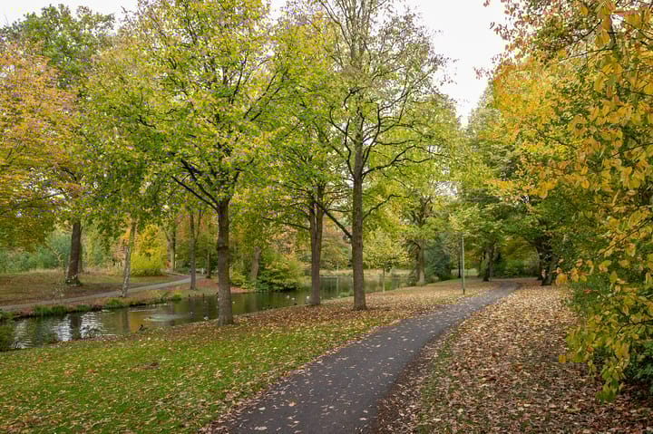 Photo 31 of Olieslagersstraat 13