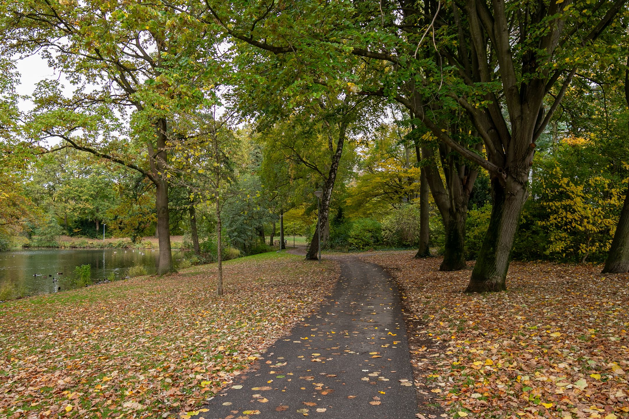 Foto 3 van Olieslagersstraat 13