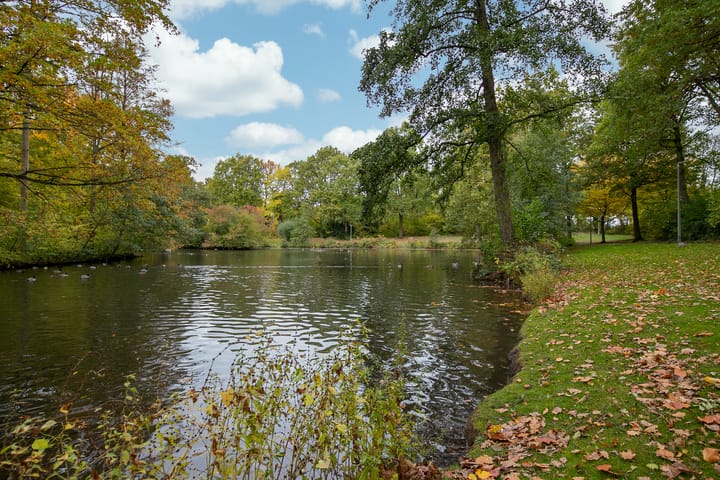 Photo 32 of Olieslagersstraat 13