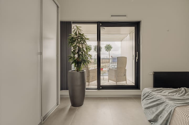 Photo 24 of Boterbloem 17