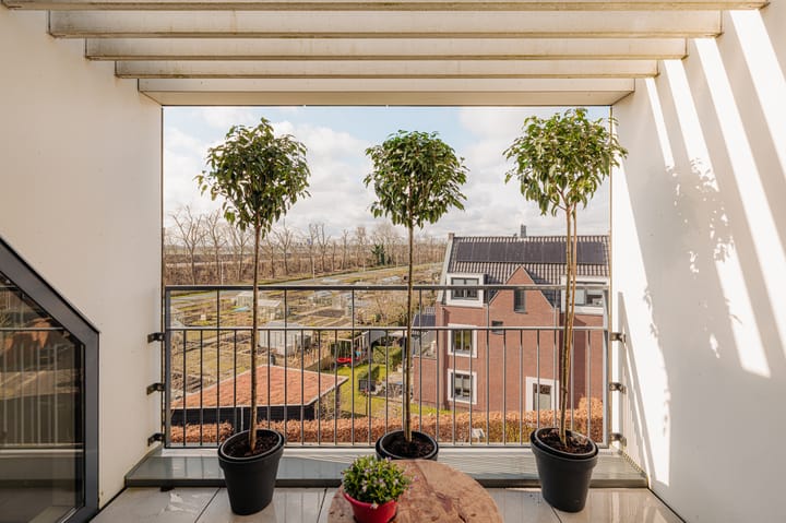 Photo 25 of Boterbloem 17