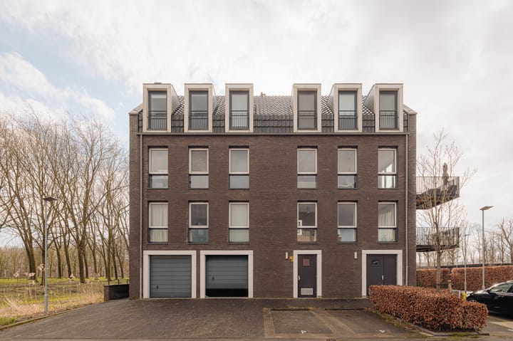 Photo 28 of Boterbloem 17