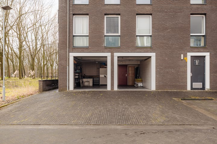 Photo 29 of Boterbloem 17