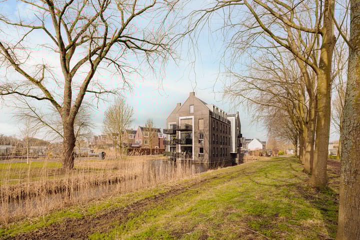 Photo 31 of Boterbloem 17