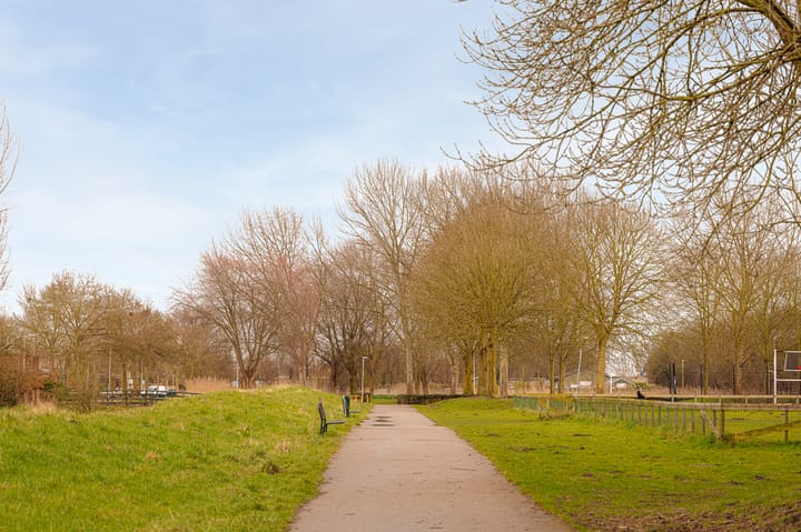 Photo 32 of Boterbloem 17