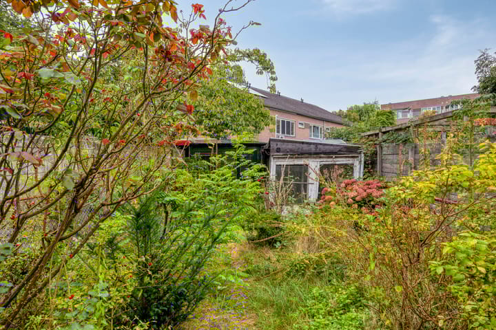 Foto 27 van Oranjeboomstraat 40