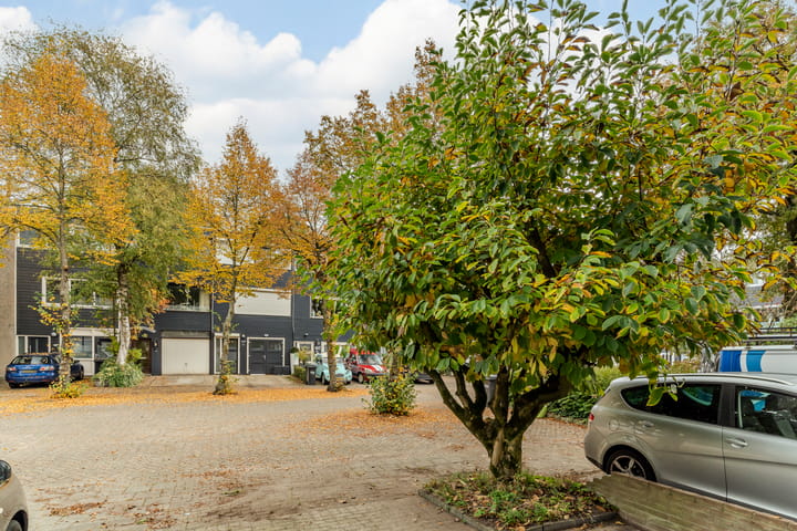 Foto 42 van Adelaartlaan 73