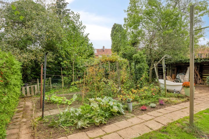 Foto 61 van Nieuwstad 35