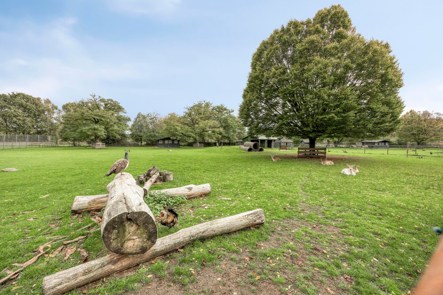 Foto 40 van Antoniusstraat 11