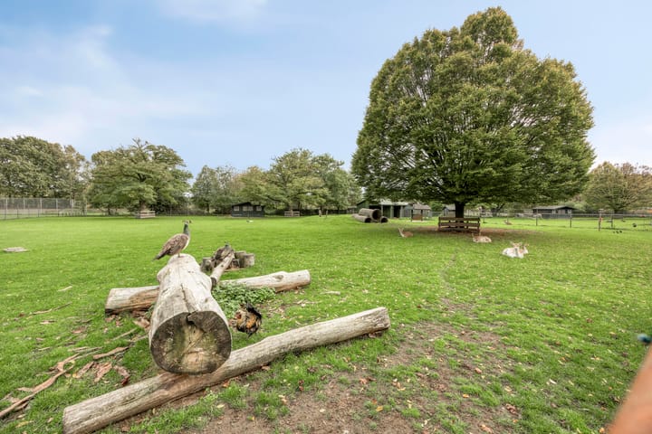 Foto 40 van Antoniusstraat 11