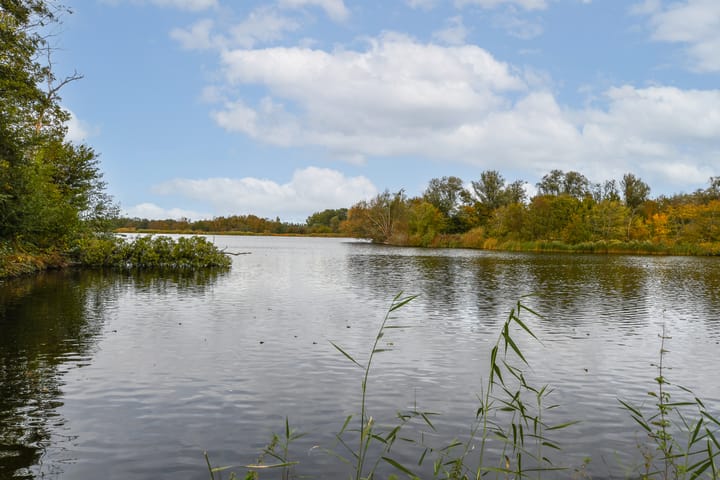 Foto 3 van Harpoenier 52