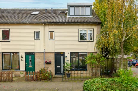 undefined main image