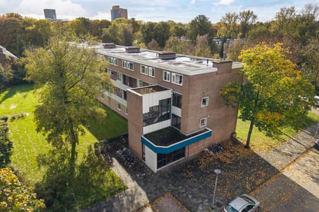 Illegaliteitslaan thumbnail