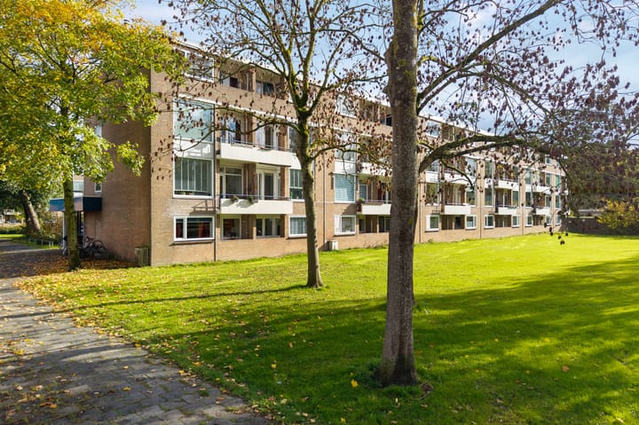 Photo 36 of Illegaliteitslaan 136