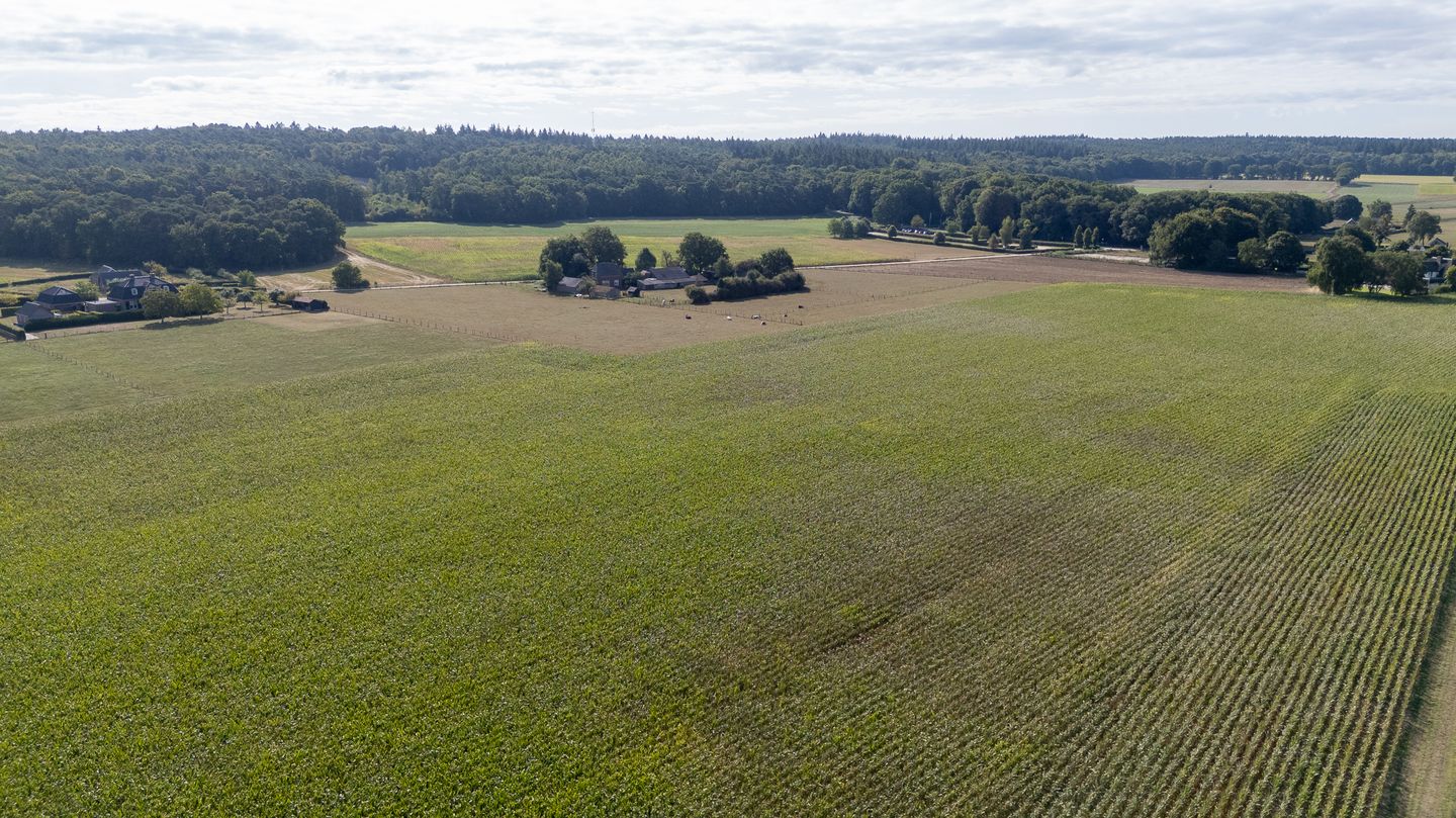 Foto 10 van Pastoor van Angerenstraat 10-E