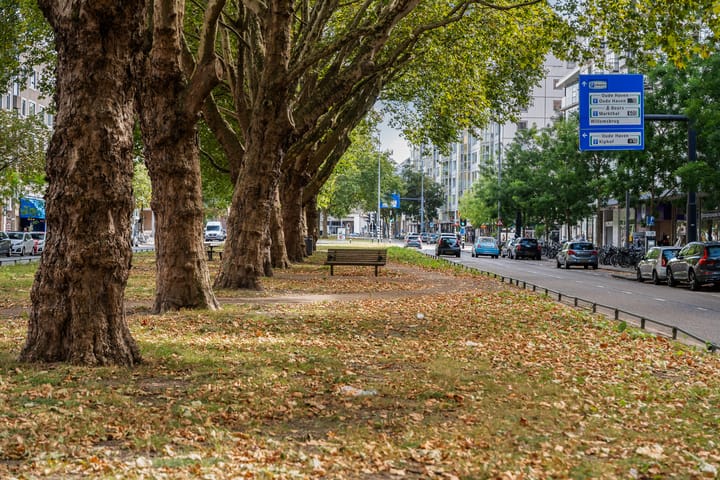 Foto 34 van Bredestraat 37-C