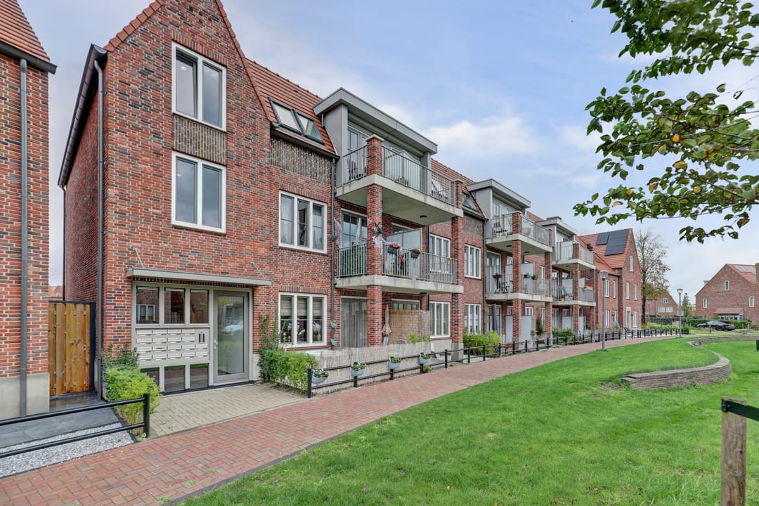 Foto 7 van Ebbenhout 38-F