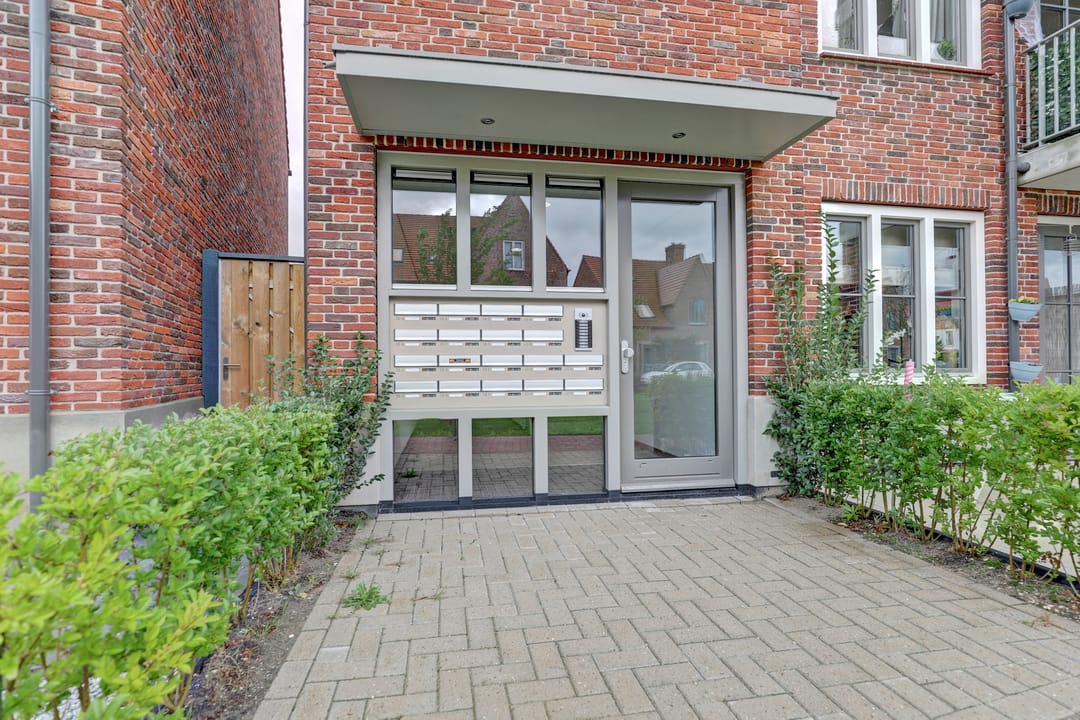 Foto 8 van Ebbenhout 38-F