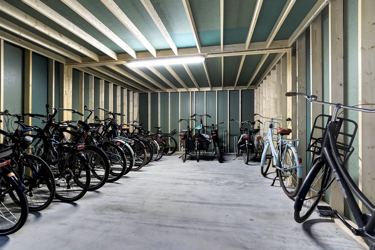 Foto 35 van Ebbenhout 38-F