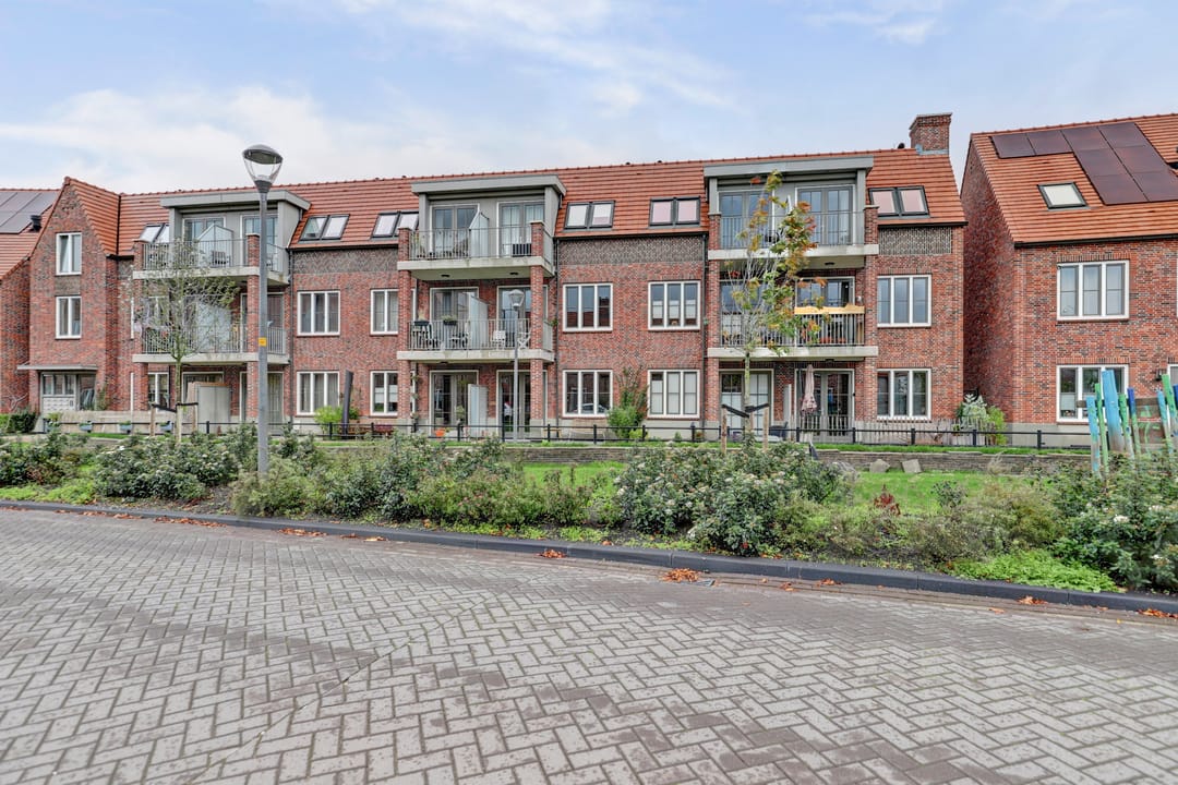 Foto 38 van Ebbenhout 38-F