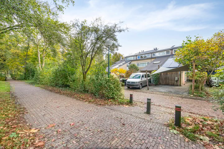 Foto 44 van Krooneend 14